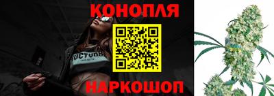 Альфа ПВП Будённовск