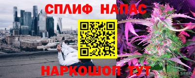 Альфа ПВП Будённовск
