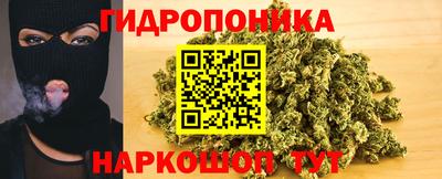 шишки Бузулук