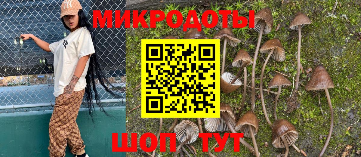Псилоцибиновые грибы MAGIC MUSHROOMS  Вход с VPN  купить закладку  Псилоцибиновые грибы мицелий  Приморско-Ахтарск 